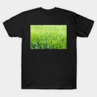 Wheat field. Oil paint effect. T-Shirt